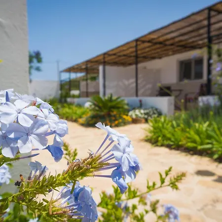 B&B Cortijo El Sarmiento - Adults Only-2